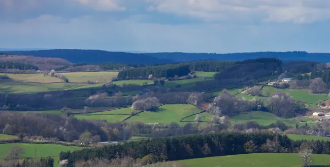 paysage